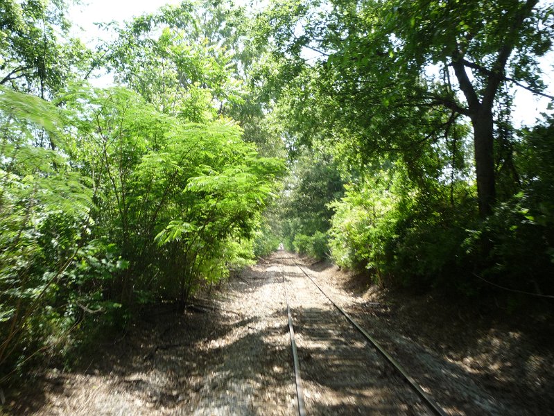 P1000982.JPG