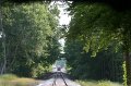 IMG_3156