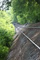 IMG_3158