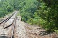 IMG_3181